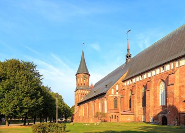 Kaliningrad, Kaliningrad kedi şehir merkezi parçası