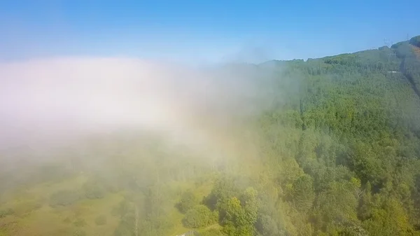 在云层上方飞行。贝加尔湖海岸。被森林覆盖的山脉。俄罗斯, 无人机 — 图库照片