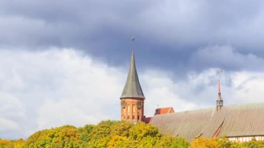 Kant adasında Kaliningrad Katedrali. Koca. Kaliningrad, Rusya Federasyonu. Zaman atlamalı. Video