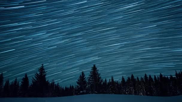 Starry Sky Background Fir Trees Moon Rise Leave Traces Form — Stock Video