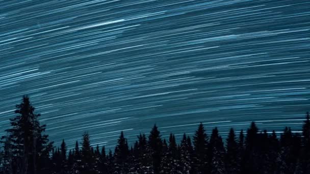 Звездное Небо Фоне Елок Восход Луны Оставьте Следы Виде Строк — стоковое видео