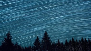 Köknar ağaçlarının arka planında yıldızlı gökyüzü. Ay yükseliyor. Çizgiler şeklinde izler bırakın. Video. Ultrahd (4k))