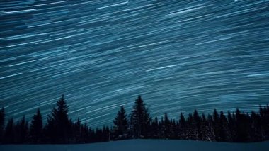 Köknar ağaçlarının arka planında yıldızlı gökyüzü. Ay yükseliyor. Çizgiler şeklinde izler bırakın. Video. Ultrahd (4k))