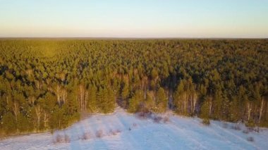 Çoğunlukla çam ormanı üzerinde uçuyor. Akşam zamanı. Kışın temiz hava. Video. UltraHD (4k)