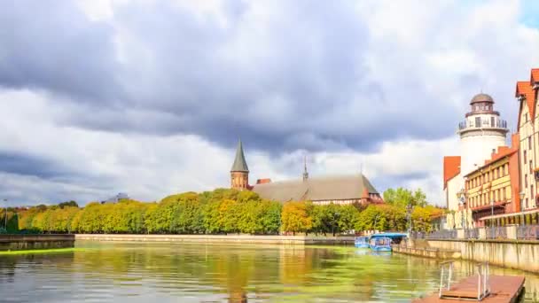 Catedral Kaliningrado Ilha Kant Kirch Kaliningrado Rússia Time Lapse Vídeo — Vídeo de Stock