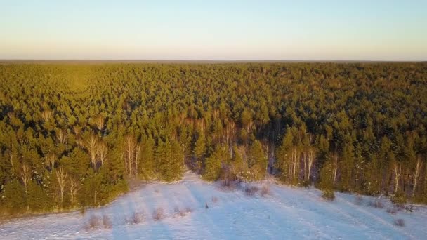 Voando Acima Principalmente Floresta Pinheiros Hora Noite Inverno Tempo Livre — Vídeo de Stock