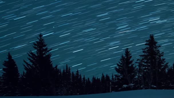 Зоряне Небо Тлі Ялинки Схід Місяця Залишати Сліди Вигляді Рядків — стокове відео