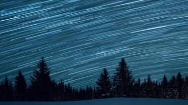 Köknar ağaçlarının arka planında yıldızlı gökyüzü. Ay yükseliyor. Çizgiler şeklinde izler bırakın. Video. Ultrahd (4k))