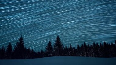 Köknar ağaçlarının arka planında yıldızlı gökyüzü. Ay yükseliyor. Çizgiler şeklinde izler bırakın. Video. Ultrahd (4k))
