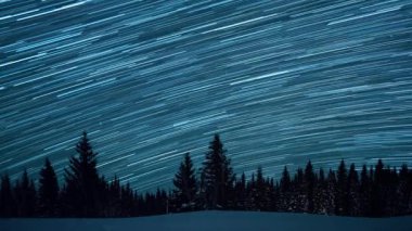 Köknar ağaçlarının arka planında yıldızlı gökyüzü. Ay yükseliyor. Çizgiler şeklinde izler bırakın. Video. Ultrahd (4k))