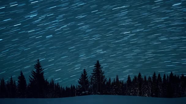 Зоряне Небо Тлі Ялинки Схід Місяця Залиште Сліди Вигляді Ліній — стокове відео
