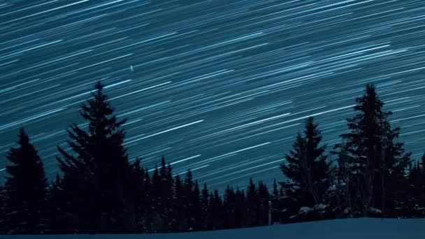 冷杉树的背景下的星空 月亮升起 以线条的形式留下痕迹 — 图库视频影像
