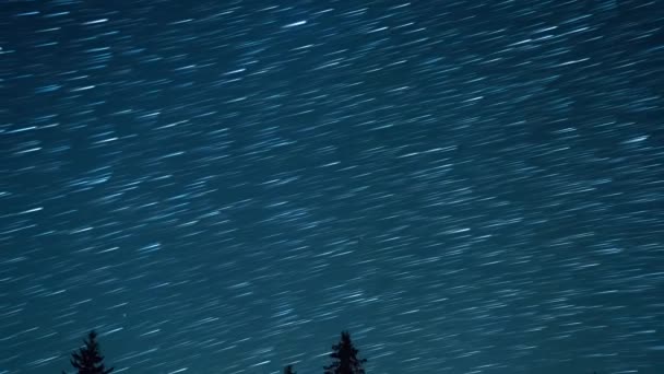 Köknar Ağaçlarının Arka Planında Yıldızlı Gökyüzü Yükseliyor Çizgiler Şeklinde Izler — Stok video