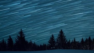 Köknar ağaçlarının arka planında yıldızlı gökyüzü. Ay yükseliyor. Çizgiler şeklinde izler bırakın. Video. Ultrahd (4k))