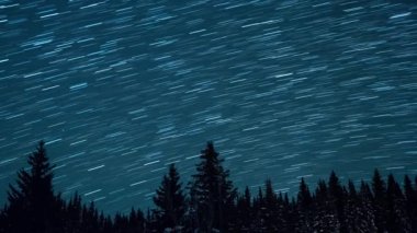 Köknar ağaçlarının arka planında yıldızlı gökyüzü. Ay yükseliyor. Çizgiler şeklinde izler bırakın. Video. Ultrahd (4k))