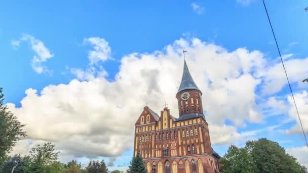 Catedral Kaliningrado Ilha Kant Kirch Kaliningrado Rússia Hdr Time Lapse — Vídeo de Stock