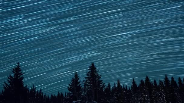 Звездное Небо Фоне Елок Восход Луны Оставляют Следы Виде Линий — стоковое видео