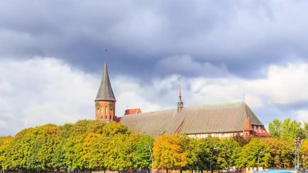 Catedral Kaliningrado Ilha Kant Kirch Kaliningrado Rússia Time Lapse Vídeo — Vídeo de Stock