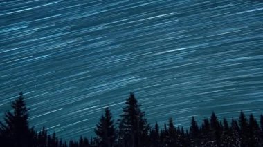 Köknar ağaçlarının arka planında yıldızlı gökyüzü. Ay yükseliyor. Çizgiler şeklinde izler bırakın. Video. Ultrahd (4k))