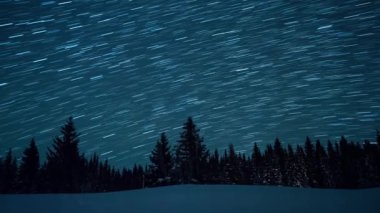 Köknar ağaçlarının arka planında yıldızlı gökyüzü. Ay yükseliyor. Çizgiler şeklinde izler bırakın. Video. Ultrahd (4k))