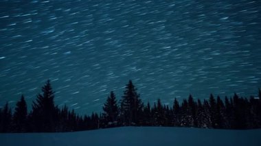 Köknar ağaçlarının arka planında yıldızlı gökyüzü. Ay yükseliyor. Çizgiler şeklinde izler bırakın. Video. Ultrahd (4k))