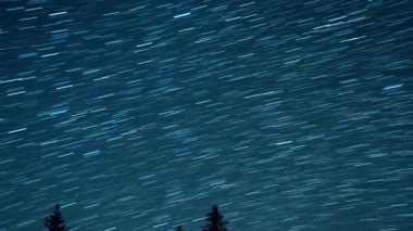 Köknar ağaçlarının arka planında yıldızlı gökyüzü. Ay yükseliyor. Çizgiler şeklinde izler bırakın. Video. Ultrahd (4k))