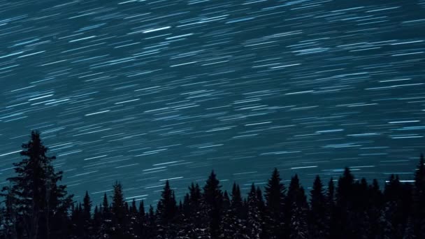 Starry Sky Background Fir Trees Moon Rise Leave Traces Form — Stock Video