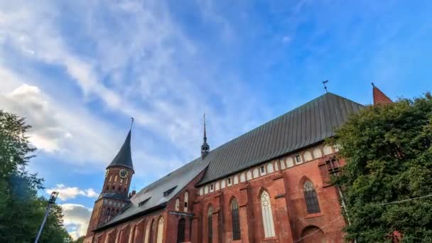 Catedral Kaliningrado Isla Kant Kirch Kaliningrado Rusia Hdr Time Lapse — Vídeos de Stock