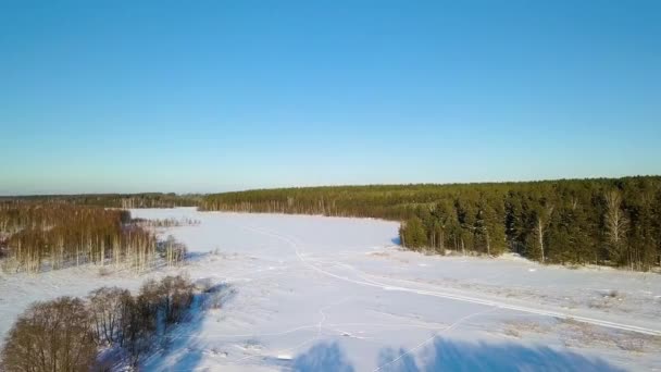 Flight Snow Covered Lake Surrounded Forest Evening Time Winter Clear — Stock Video