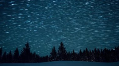 Köknar ağaçlarının arka planında yıldızlı gökyüzü. Ay yükseliyor. Çizgiler şeklinde izler bırakın. Video. Ultrahd (4k))