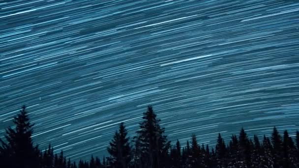 Gwiaździste Niebo Tle Drzew Jodłowych Powstanie Księżyca Zostaw Ślady Postaci — Wideo stockowe
