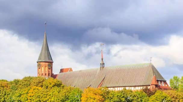 Catedral Kaliningrado Ilha Kant Kirch Kaliningrado Rússia Time Lapse Vídeo — Vídeo de Stock