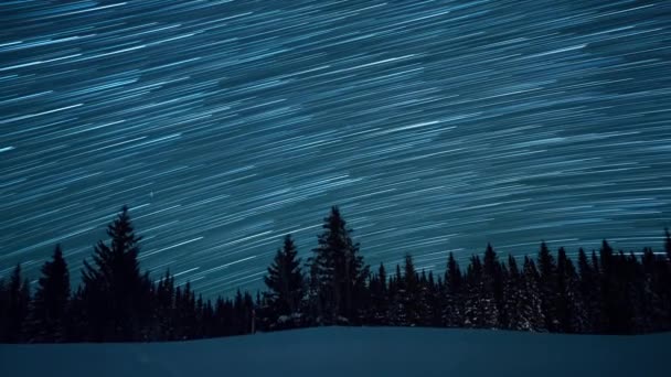 Céu Estrelado Fundo Abetos Lua Erguida Deixe Vestígios Forma Linhas — Vídeo de Stock