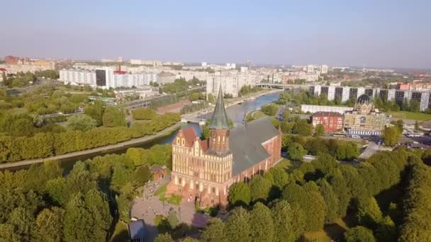 Kaliningrad Katedralen Kant Ryssland Kaliningrad Video Ultrahd — Stockvideo