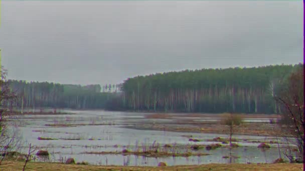 闪烁的效果 湖面上的雨 夜幕降临了 时间流逝 — 图库视频影像