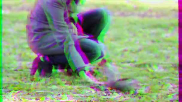 闪烁的效果 公园里的松鼠生产坚果 — 图库视频影像