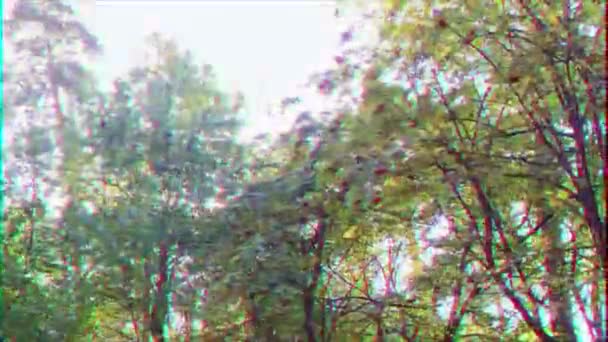 Effetto Glitch Raggi Del Sole Fanno Strada Tra Gli Alberi — Video Stock