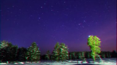 Aksaklık etkisi. Kış ormanı üzerinde yıldızlar. Zaman atlamalı. Video. UltraHD (4k)