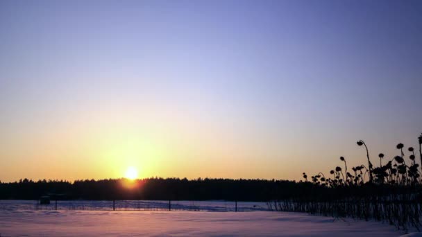 Effet scintillant. Étoile après coucher de soleil en hiver. Temps écoulé. Vidéo. UltraHD (4K )
