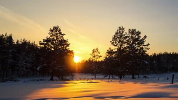 Ефект Глюка Заходить Сонце Над Лісом Являються Зірки Панорама Проміжок — стокове відео