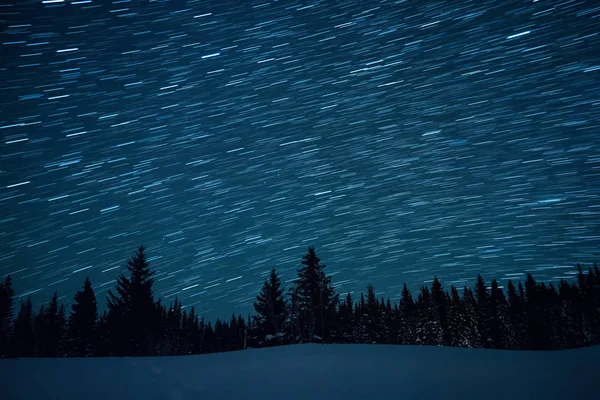 Starry sky in the background of fir trees. Leave traces in the f — Stock Photo, Image