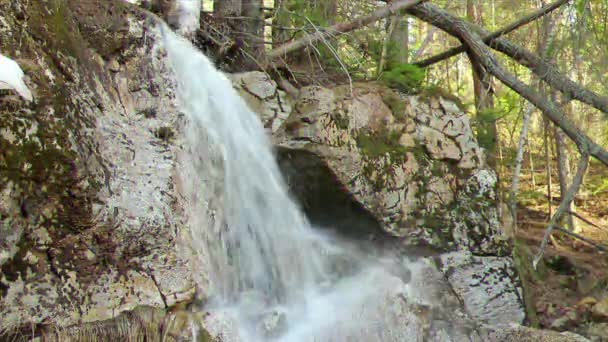Efeito Falha Água Cai Sobre Pedras Vídeo — Vídeo de Stock