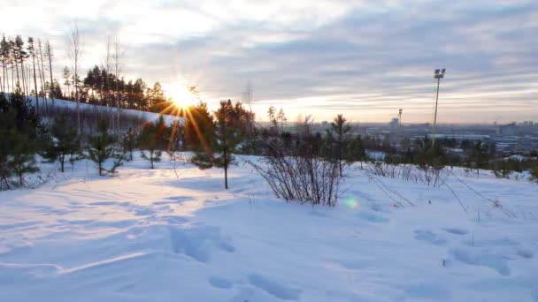 Effet Scintillant Coucher Soleil Hiver Caméra Bouge Vidéo Ultrahd — Video