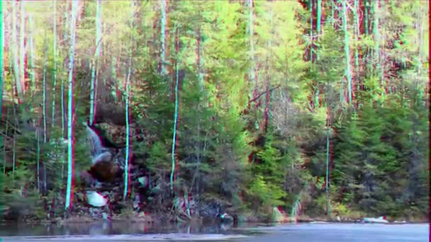 Effet Scintillant Dans Cascade Forêt Conifères Panorama Vidéo — Video