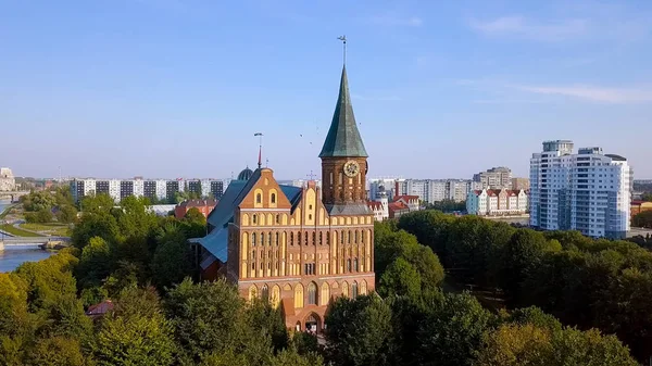Die Kathedrale von Kaliningrad auf der Insel Kant. russland, kaliningrad, von drohne — Stockfoto