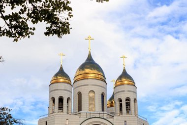 Rusya, Kaliningrad. Katedral Mesih'in Savior. Zafer Squi