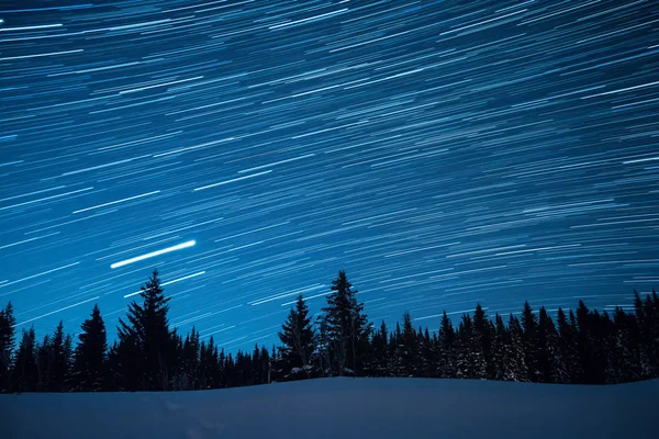 Starry sky in the background of fir trees. Leave traces in the f — Stock Photo, Image