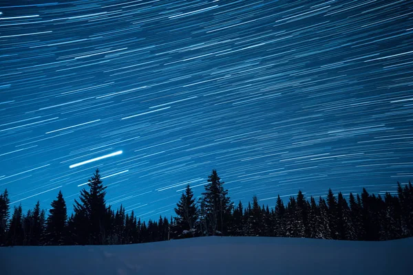 Cielo estrellado en el fondo de los abetos. Deja rastros en la f — Foto de Stock