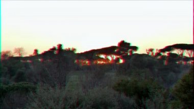 Aksaklık etkisi. Gün batımında Güney ağaçları. Roma, Italya. Video. UltraHD (4k)