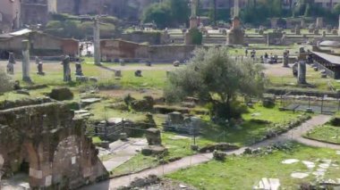 Aksaklık etkisi. Roma Forumu kalıntıları. Roma, Italya. Video. UltraHD (4k)